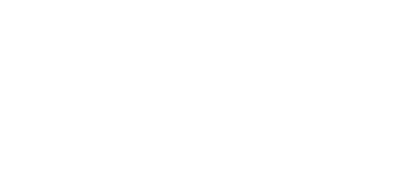 What We Do Not See